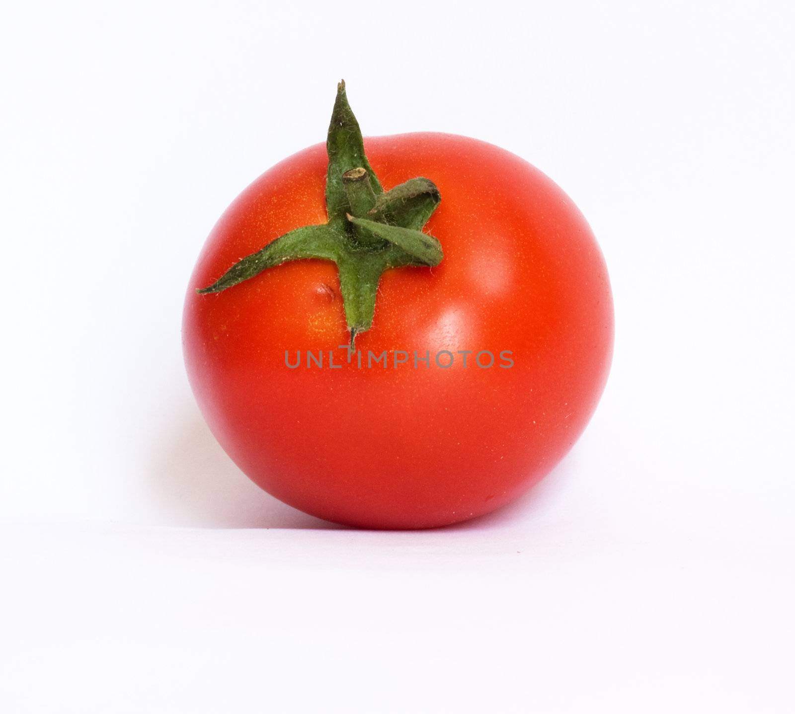 one tomato  by schankz