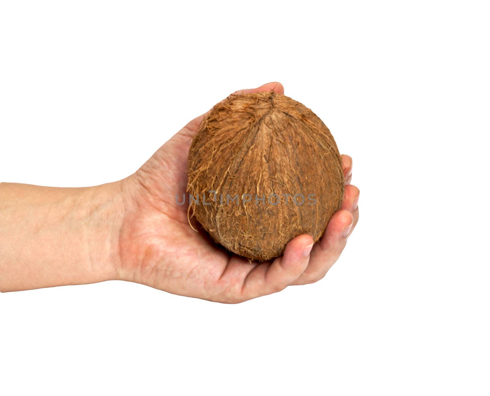 Coconut close-up in my hand isolated on white background.  by schankz