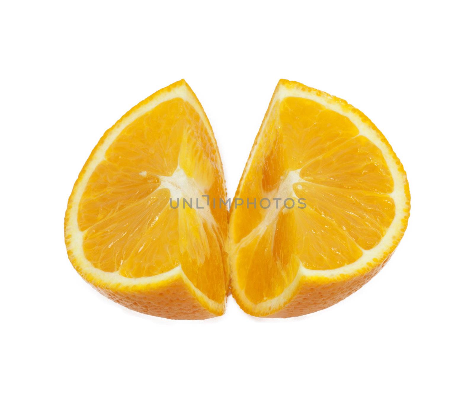 oranges on white background 