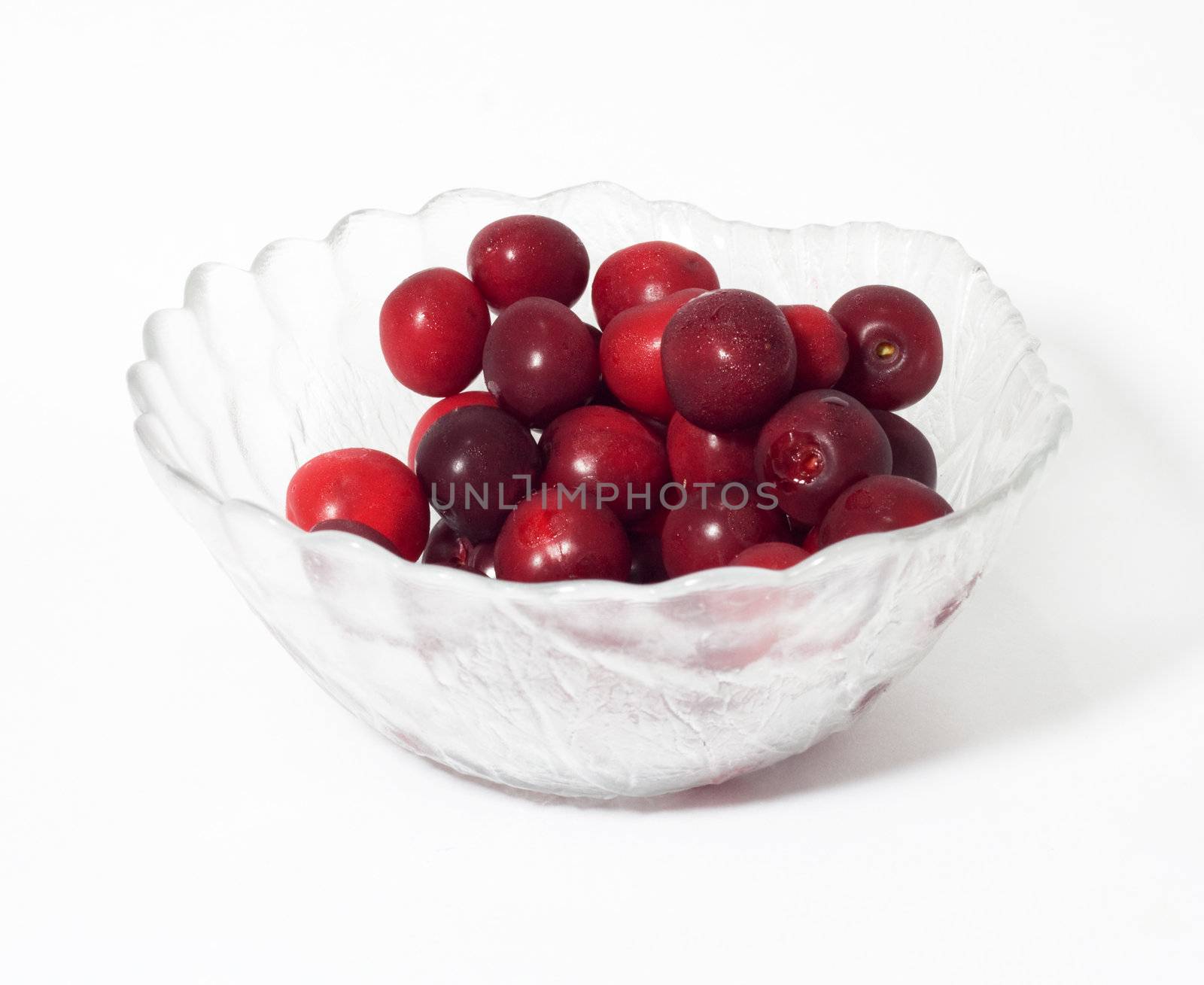 cherries on white background 