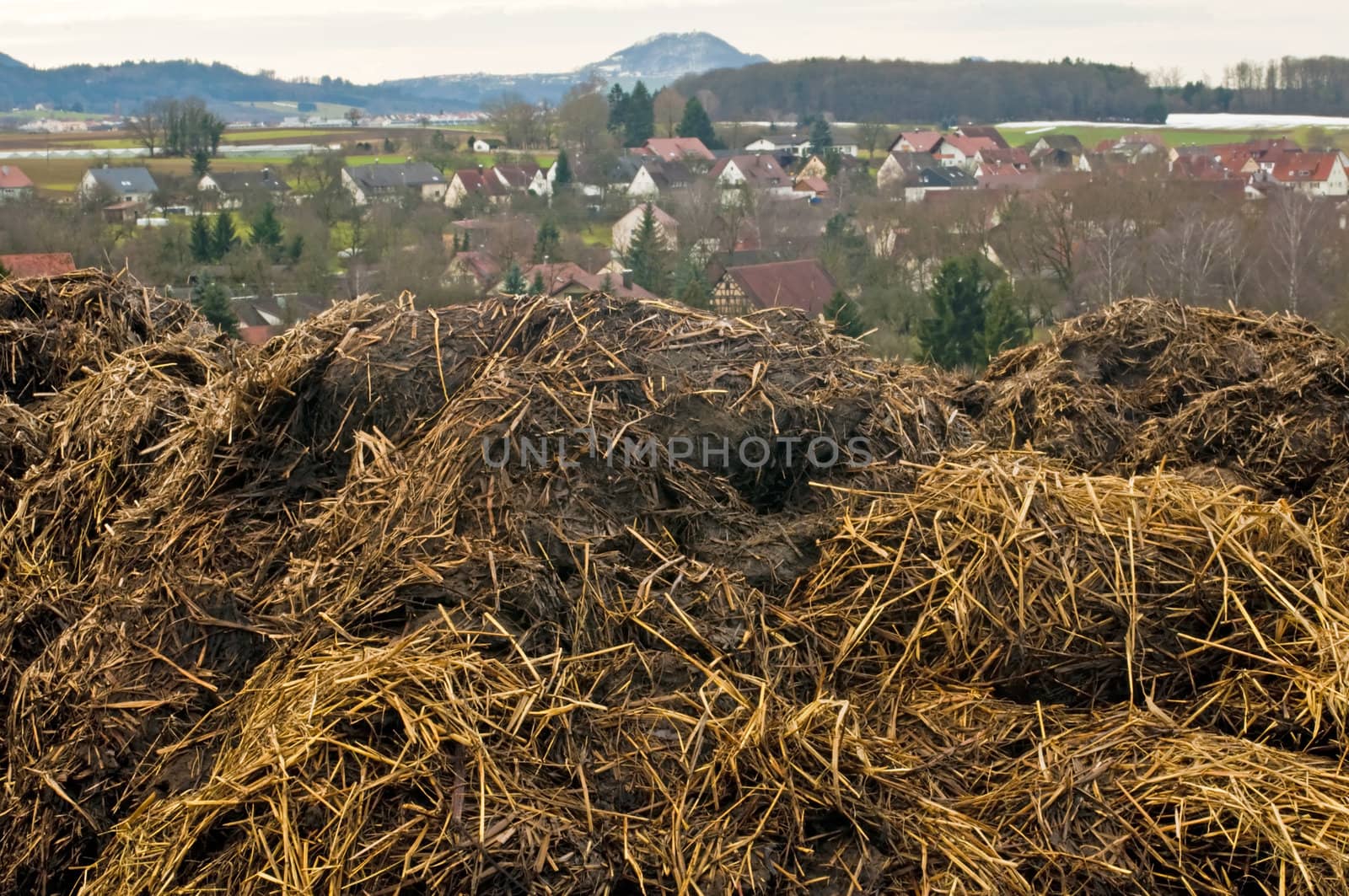 dung hill by Jochen