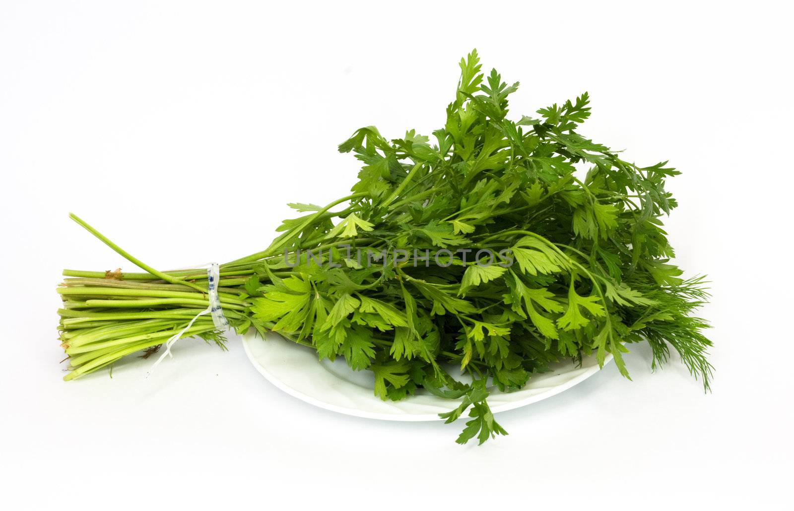 dill and parsley at platw isolated on a white background  by schankz