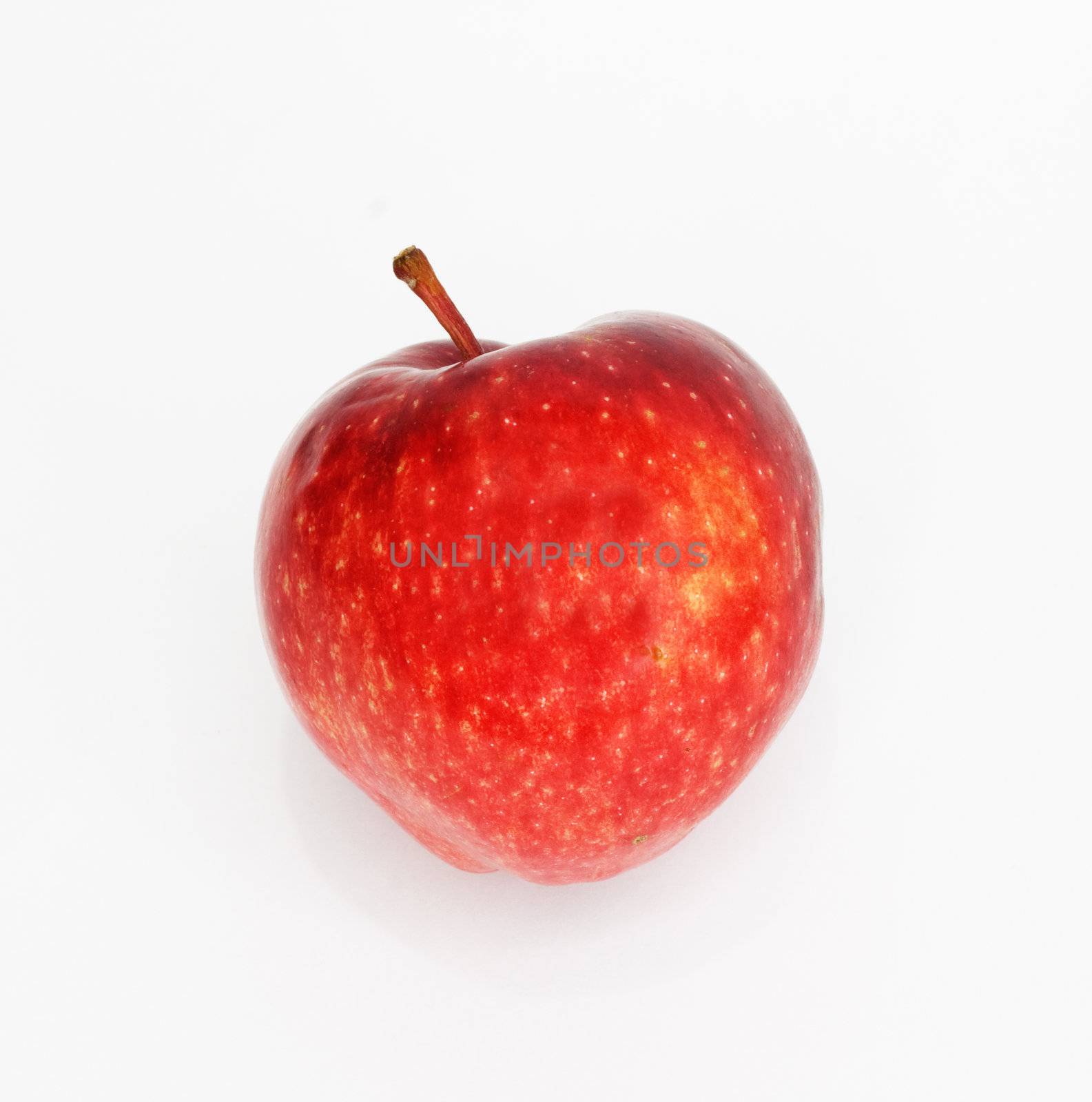 Red apple  by schankz