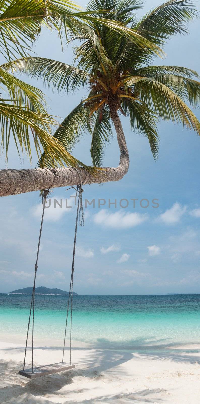 White sand beach in Rawa island Malaysia with wooden  swing  and coconut tree