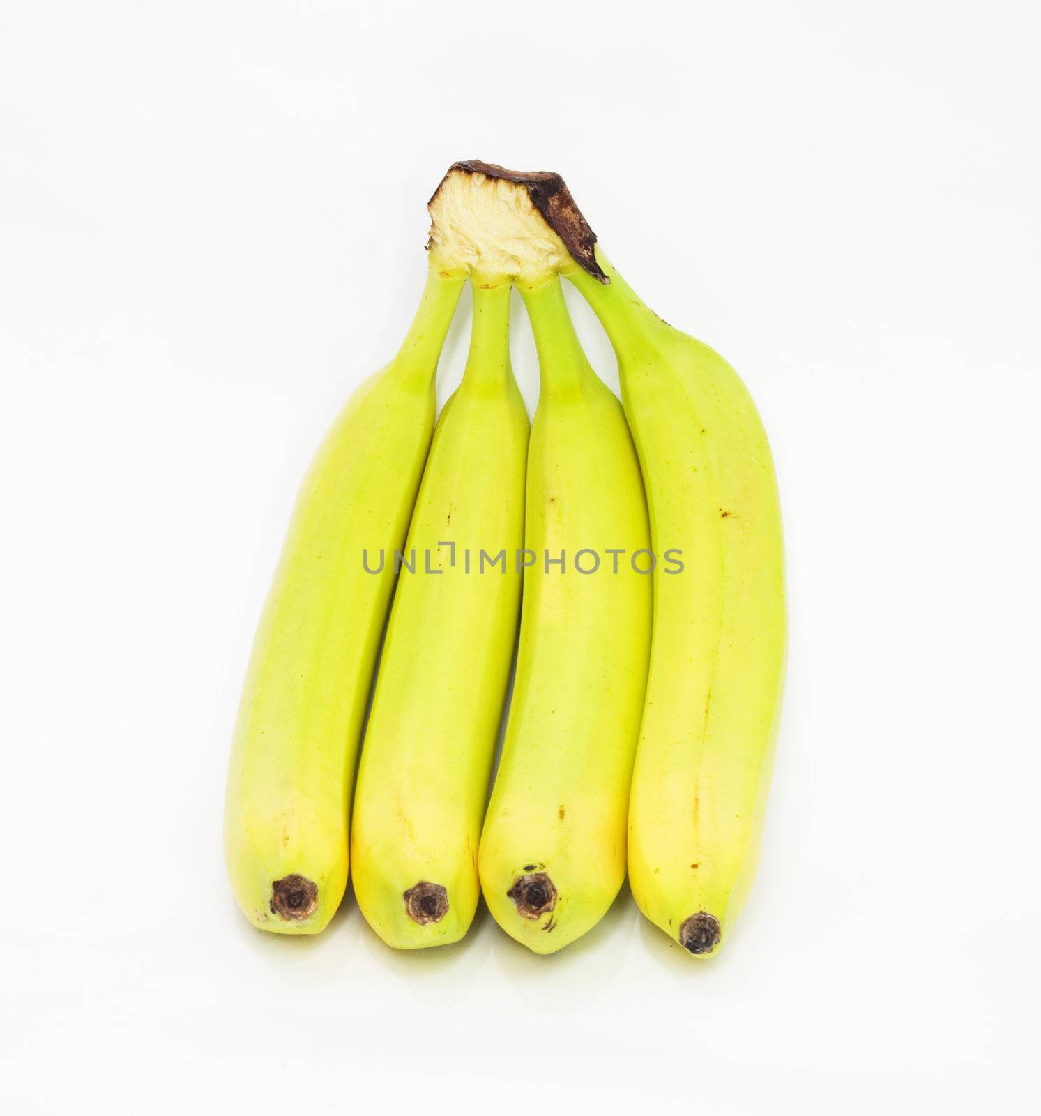 Banana bunch isolated on whiye  by schankz
