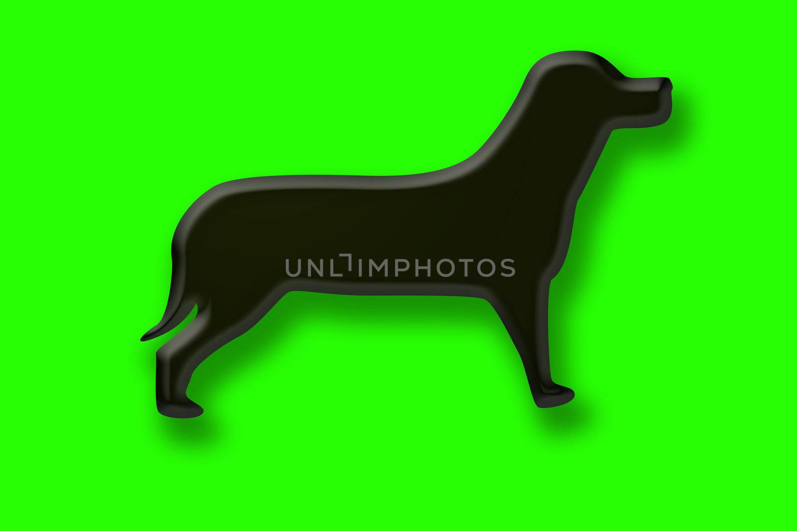 dog on green background