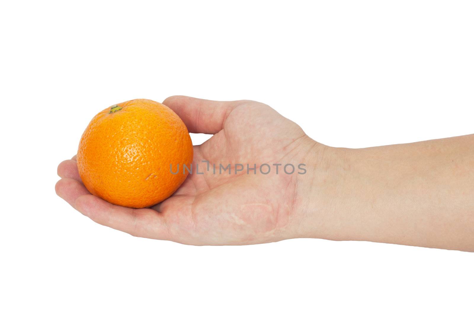 tangerine in the hand  by schankz