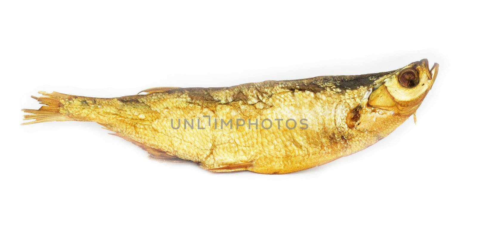 smoked fish isolated on white 