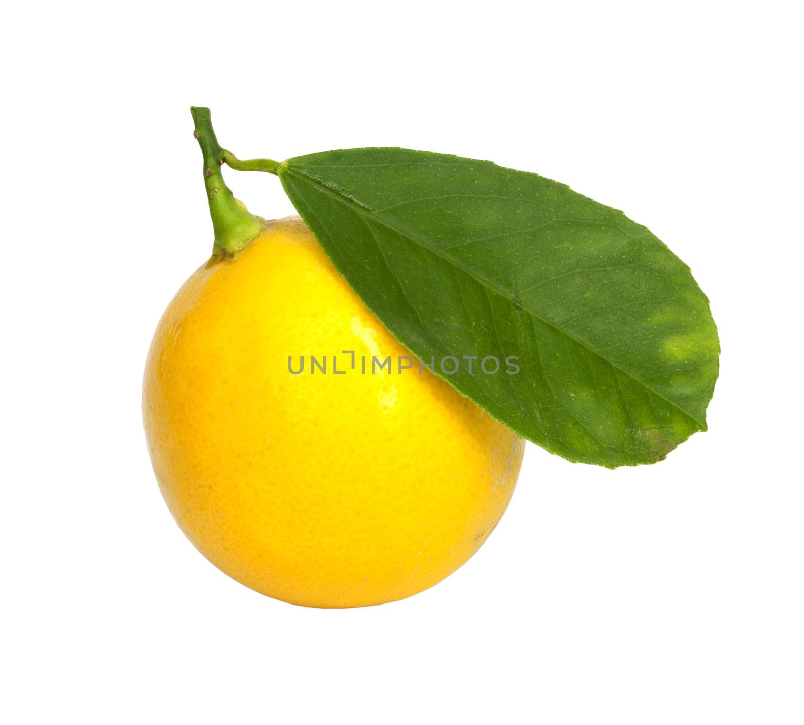 lemon