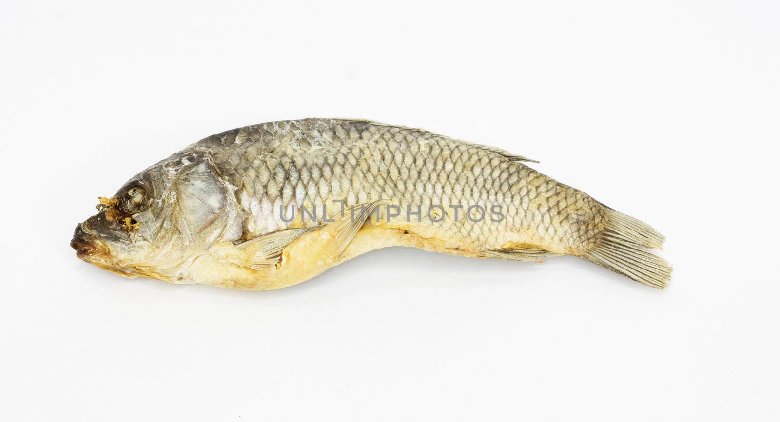 dried fish isolated on white background 