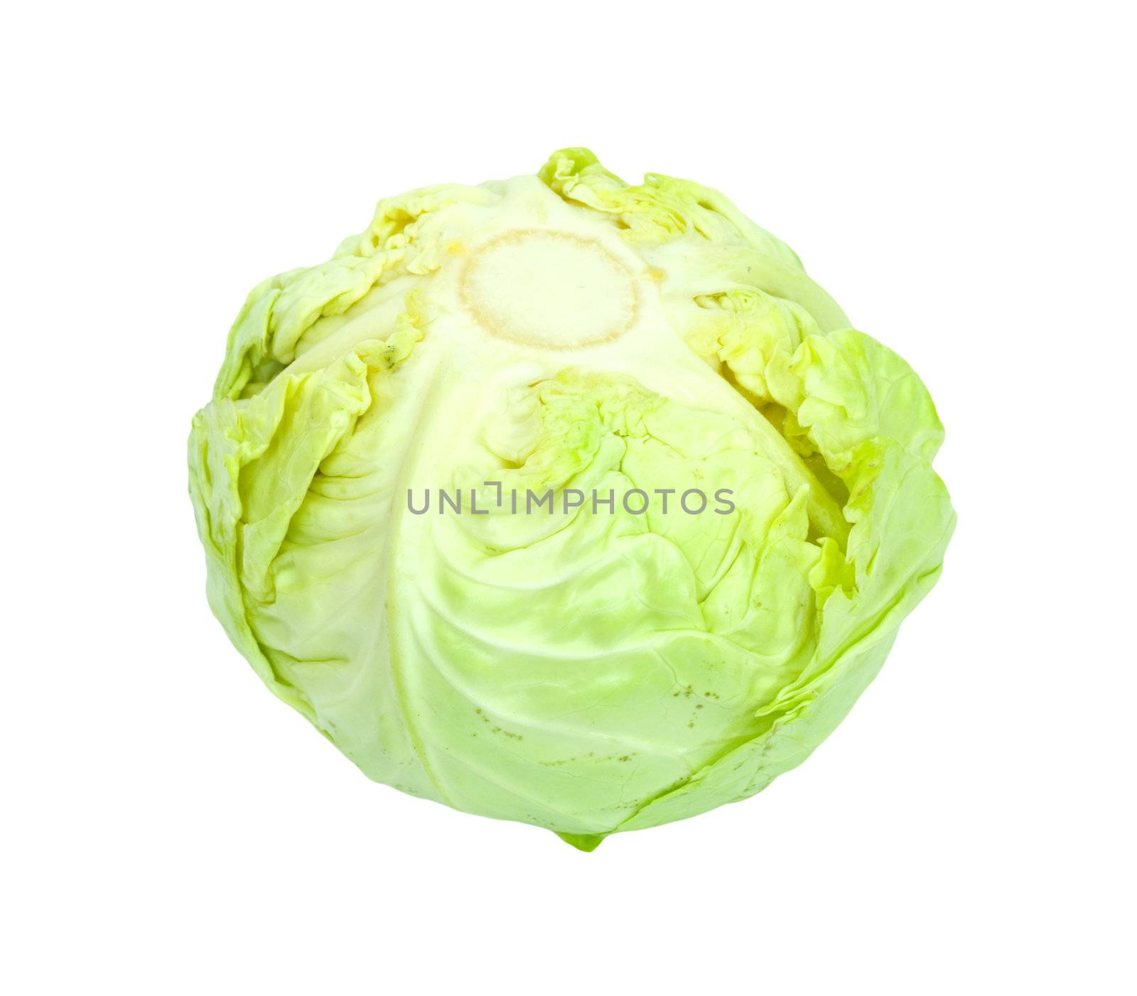 Green cabbage isolated on white background.  by schankz