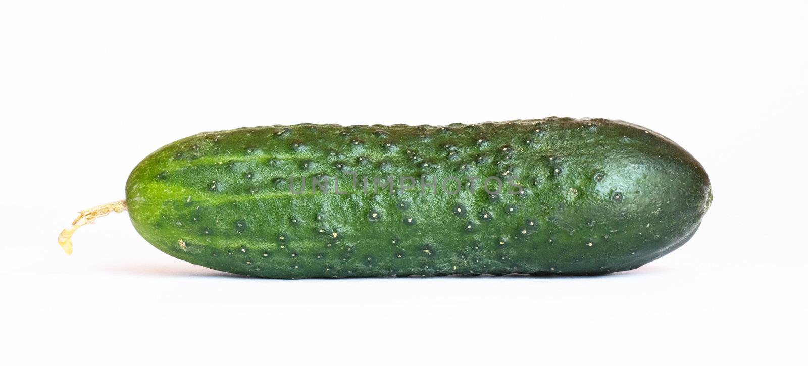 Single cucumber, isolated over white  by schankz