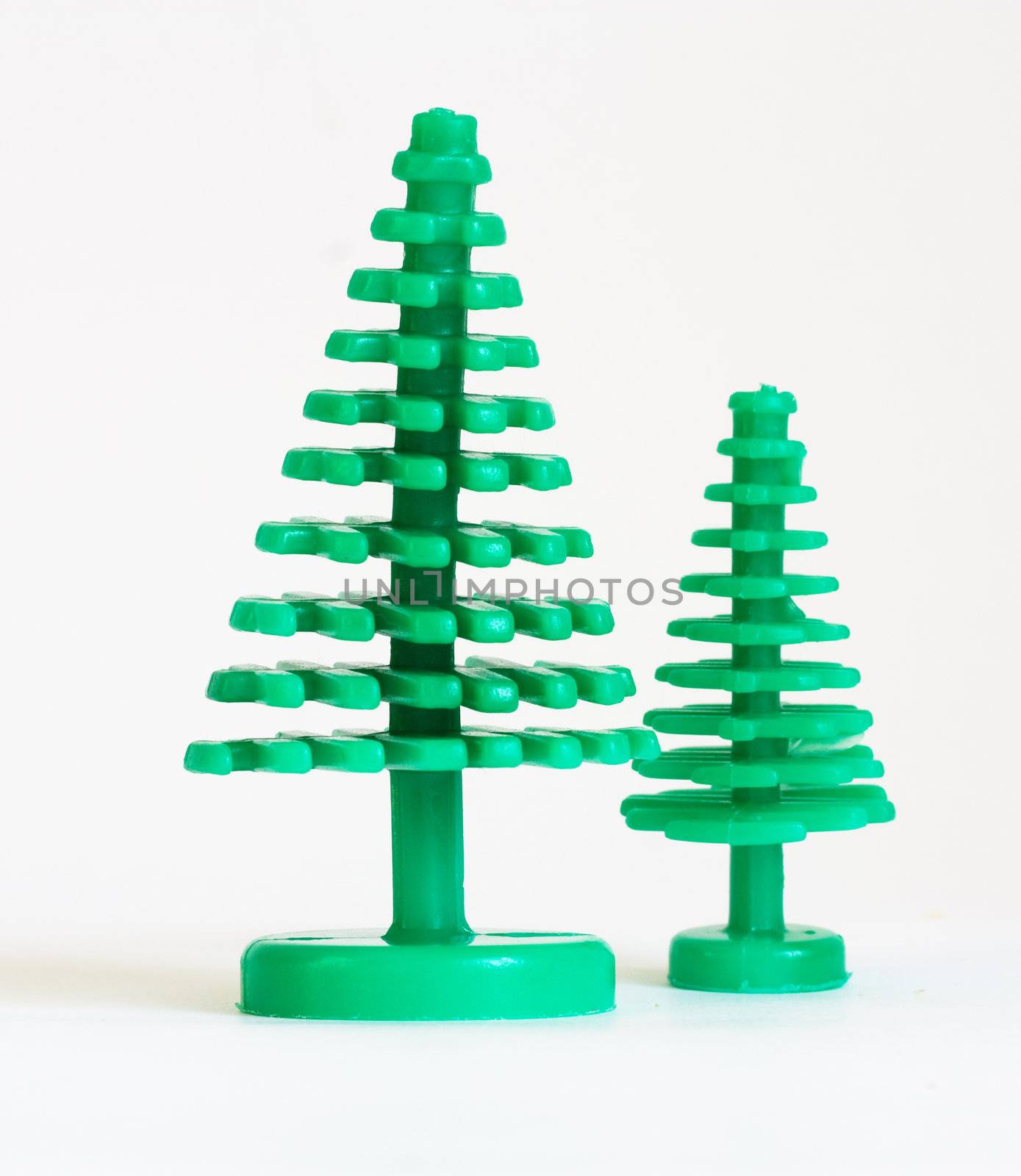 two fir trees insulated on white background