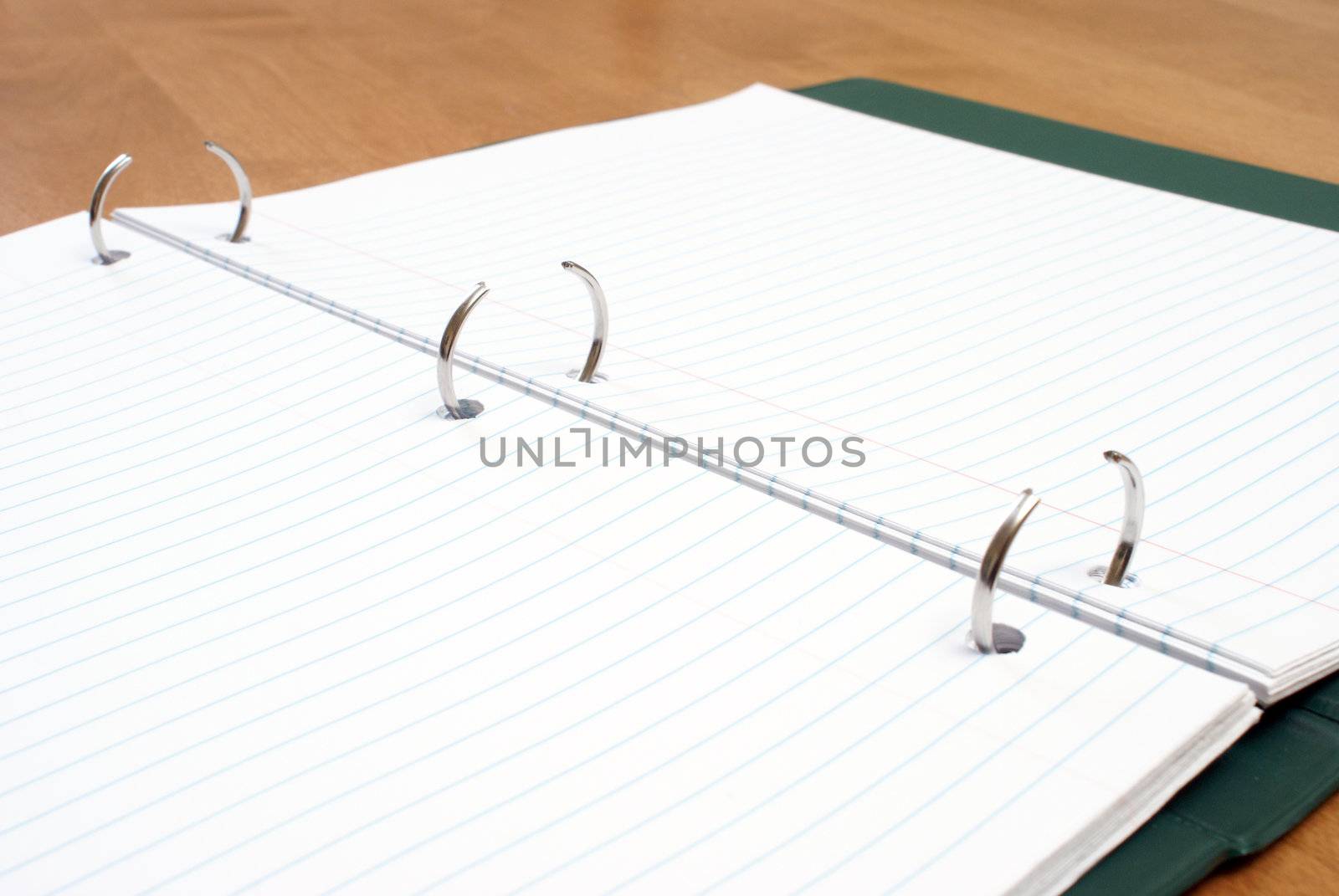An opened binder with lined paper and rings ready for inserts.