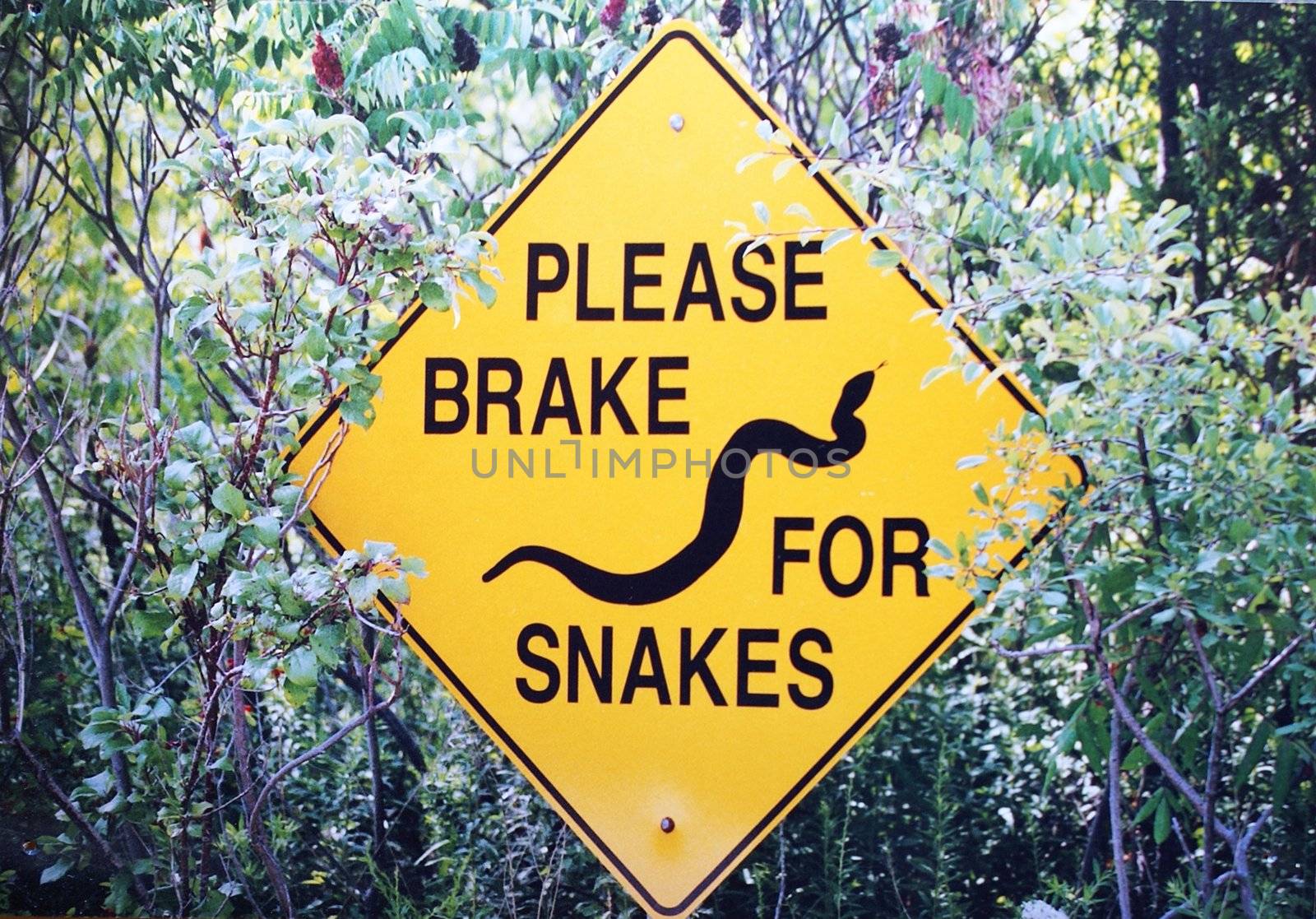 A yellow sign that is meant to protect snakes from getting killed on the road.