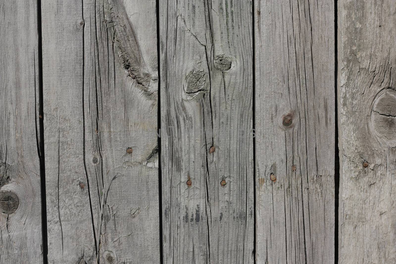 Close up of gray wooden fence panels  by schankz