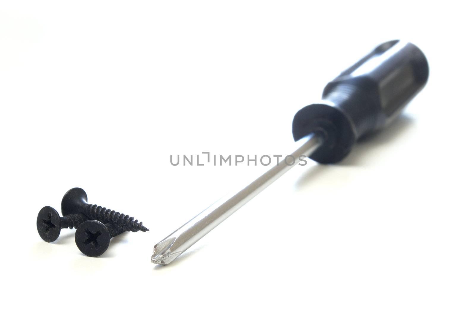 A starhead screwdriver with starhead screws on a white background.