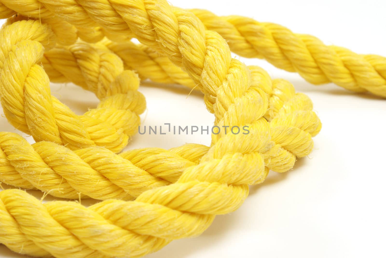 Yellow Rope by AlphaBaby