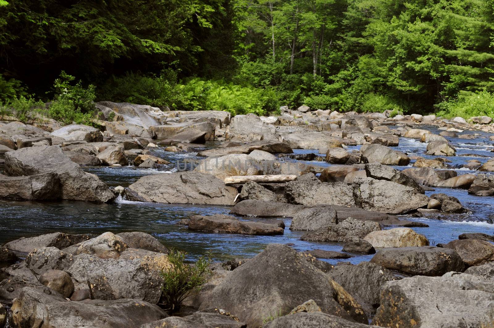 Rock-filled stream in the Adirondack mountains