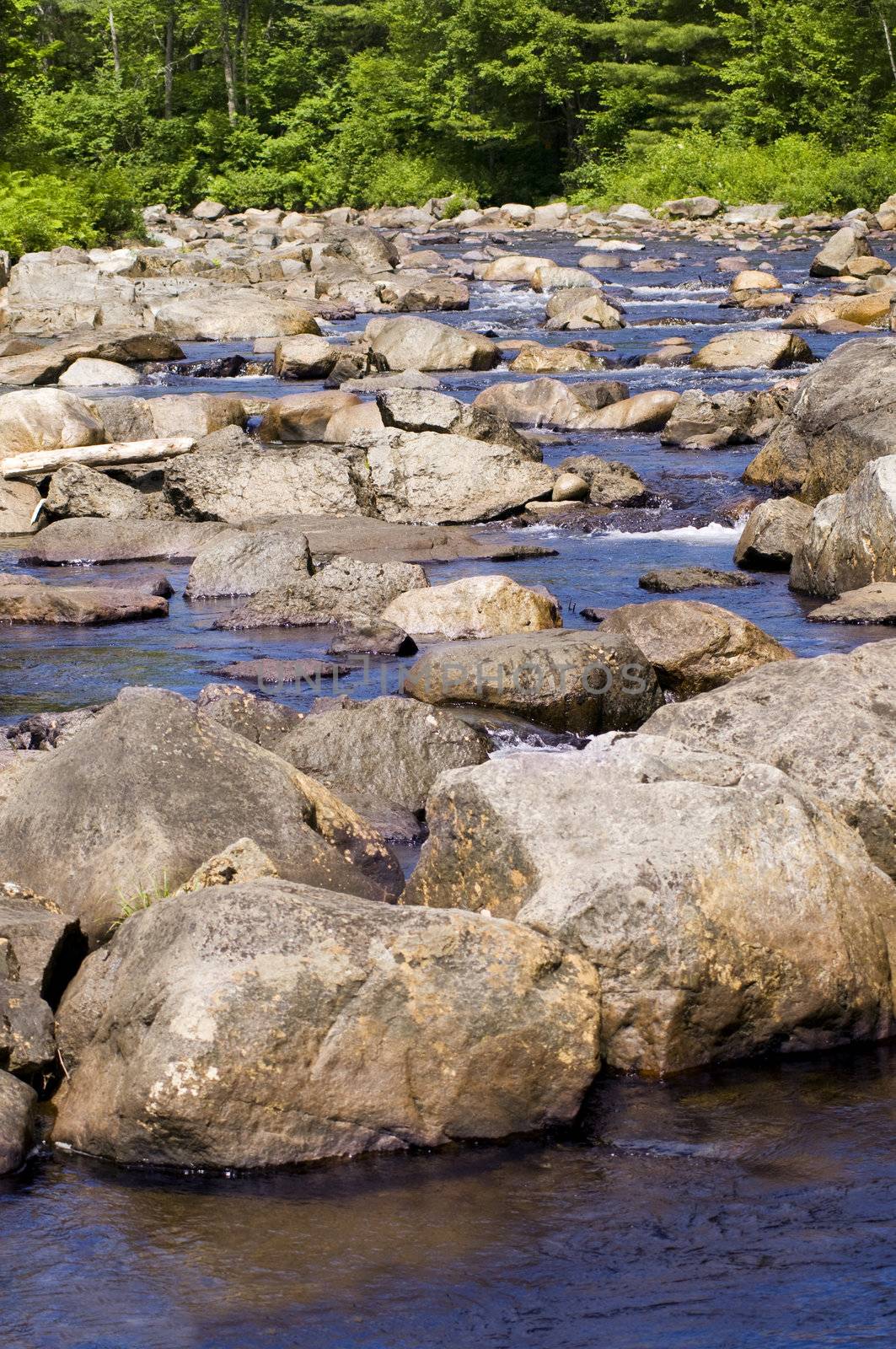 Wooded stream with many rocks and babbling water