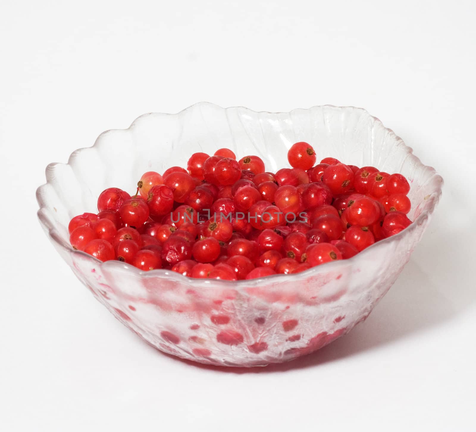 Red currant 