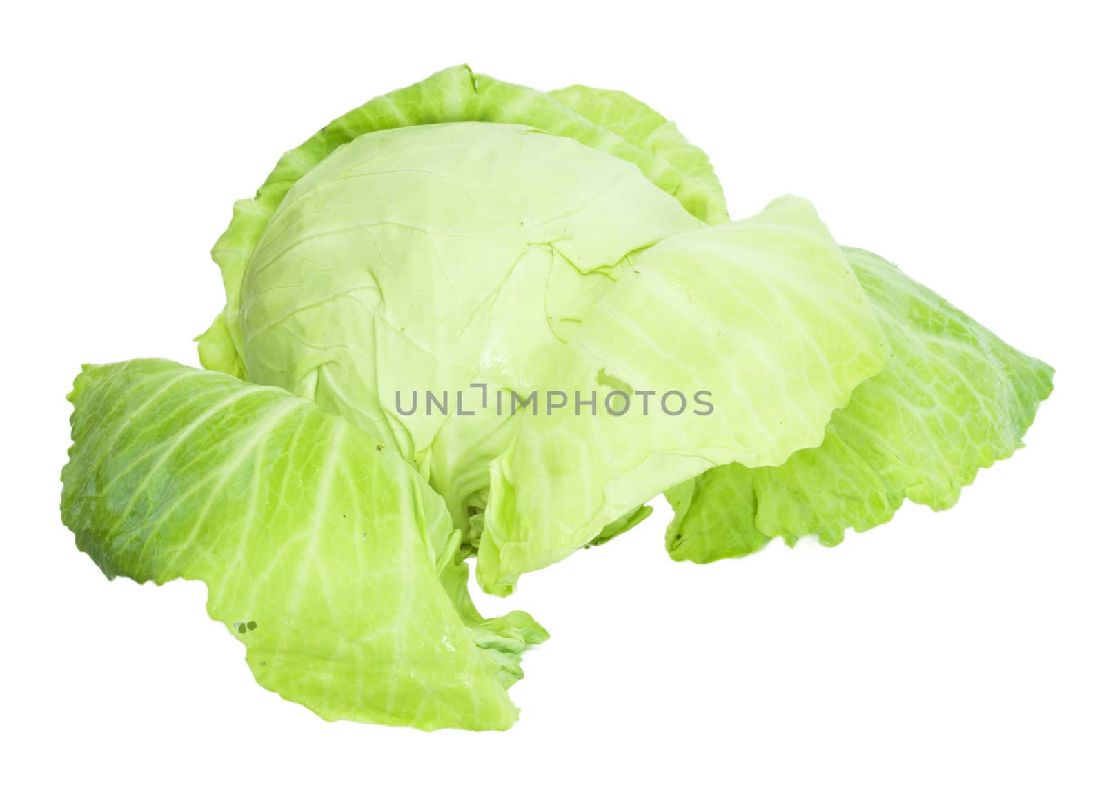 Cabbage isolated on a white background 