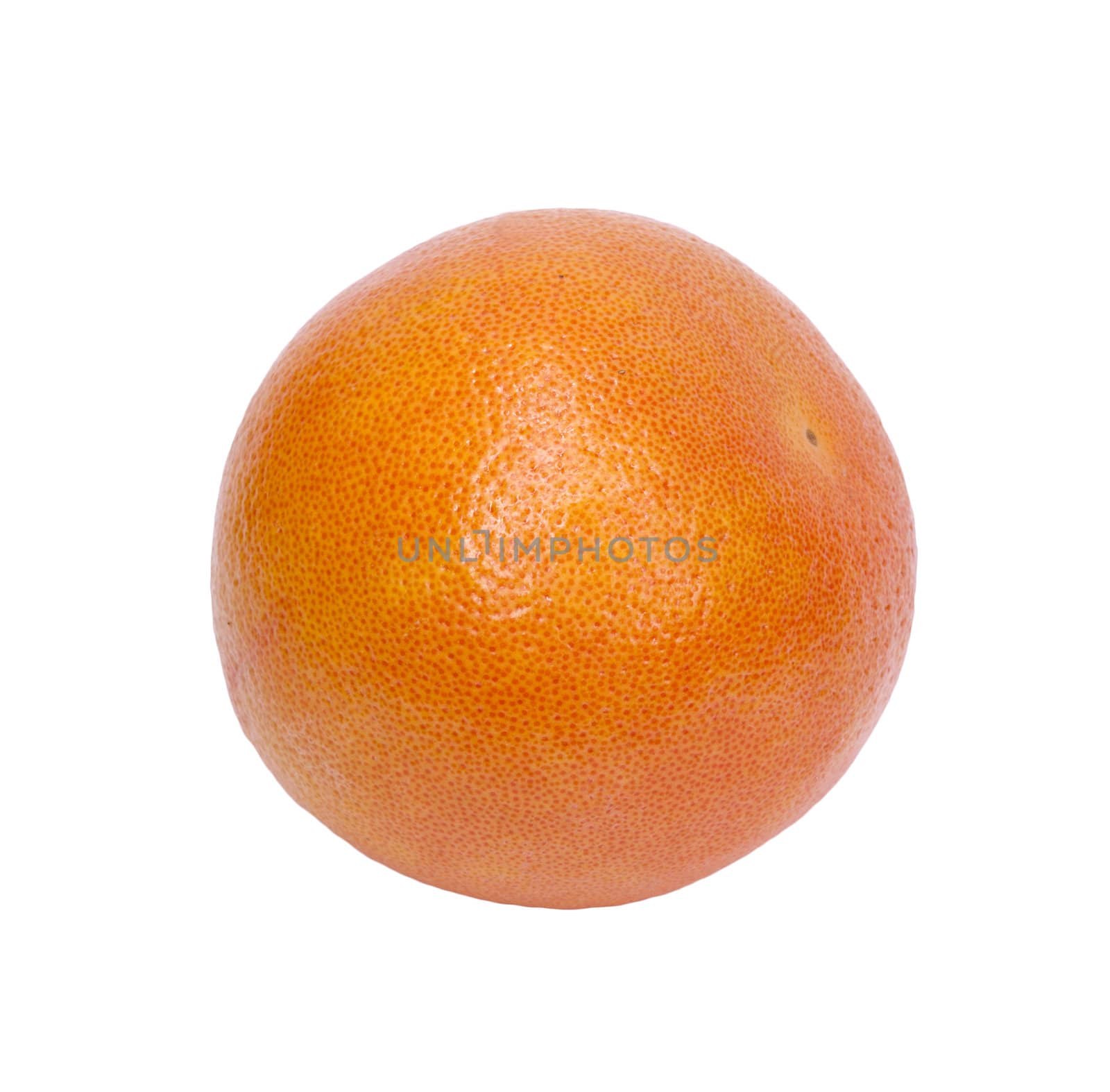 Grapefruit on a white background. 