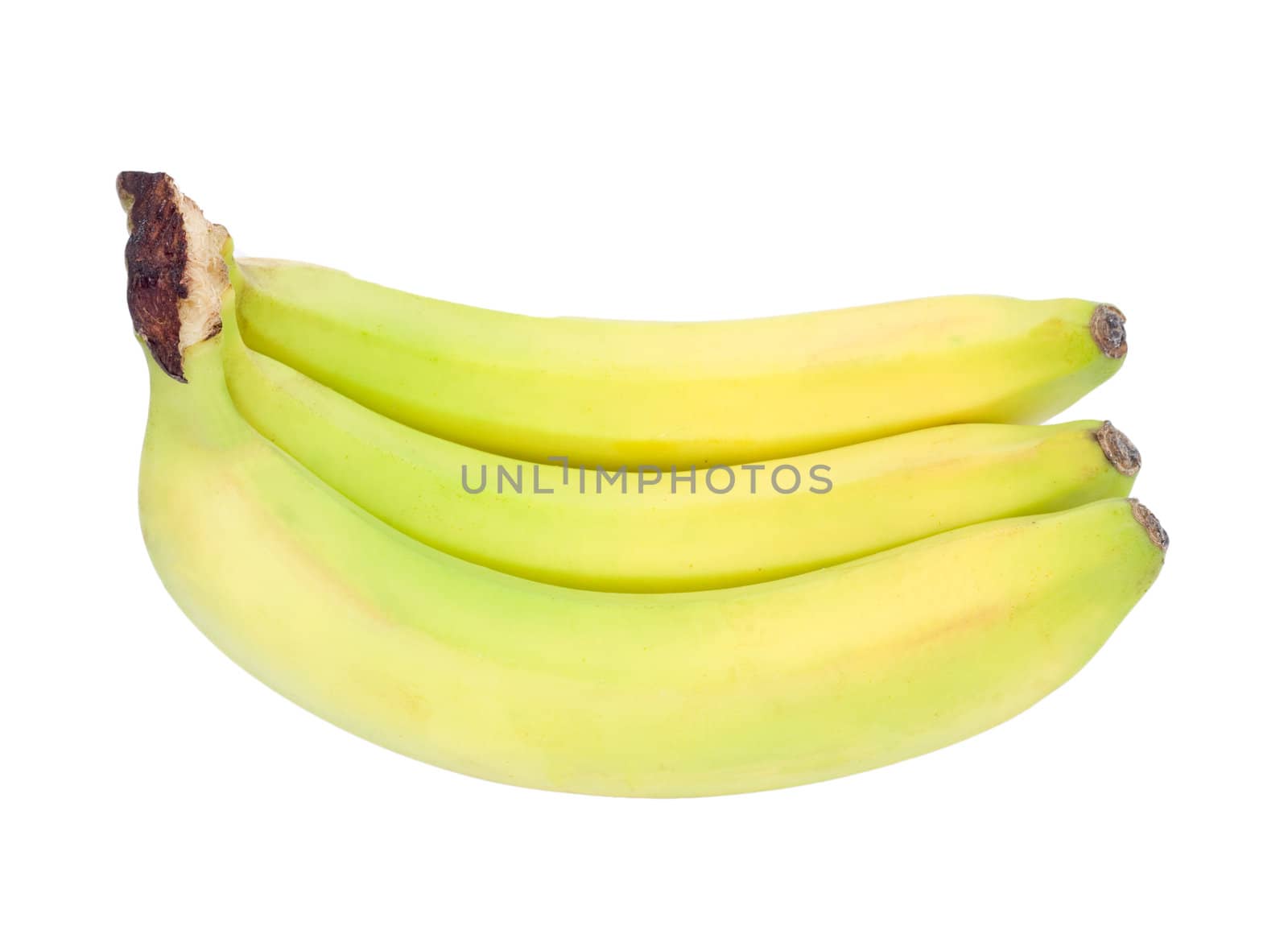 bananas isolated on white background + Clipping Path 