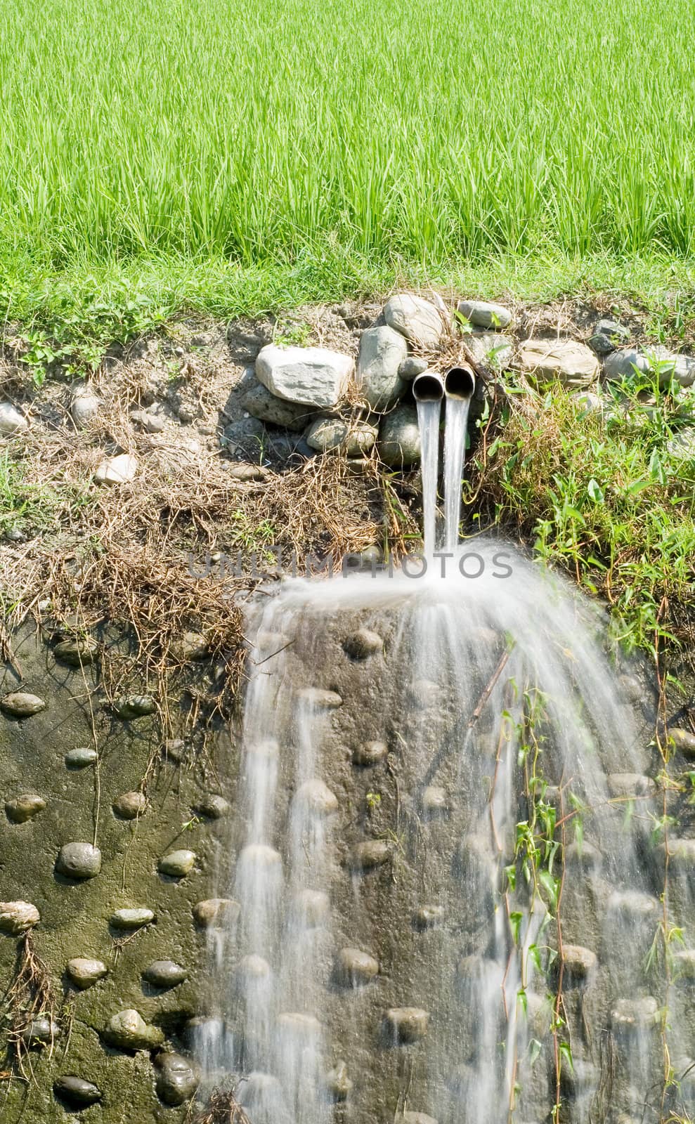 It is a outfall and paddy fields.