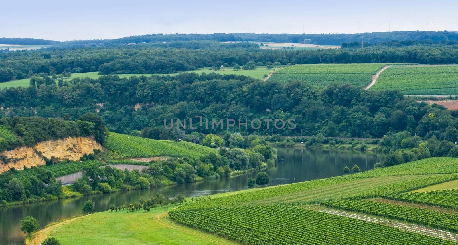 view over river Moezel or Mosel with forests and vineyards on the hills
