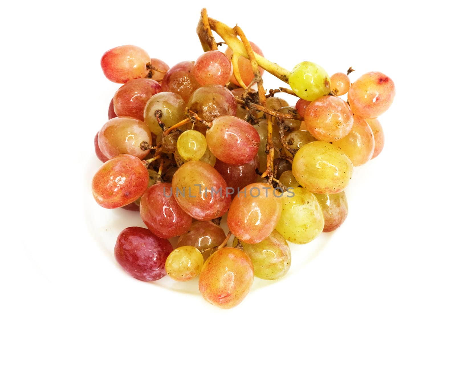 Fresh grape  by schankz