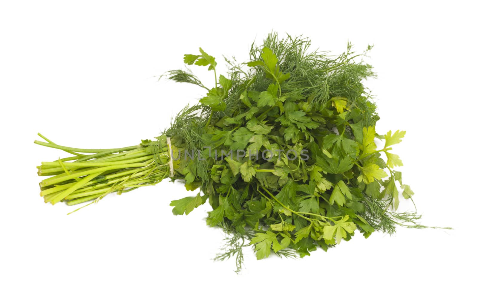 dill and parsley isolated on a white background 