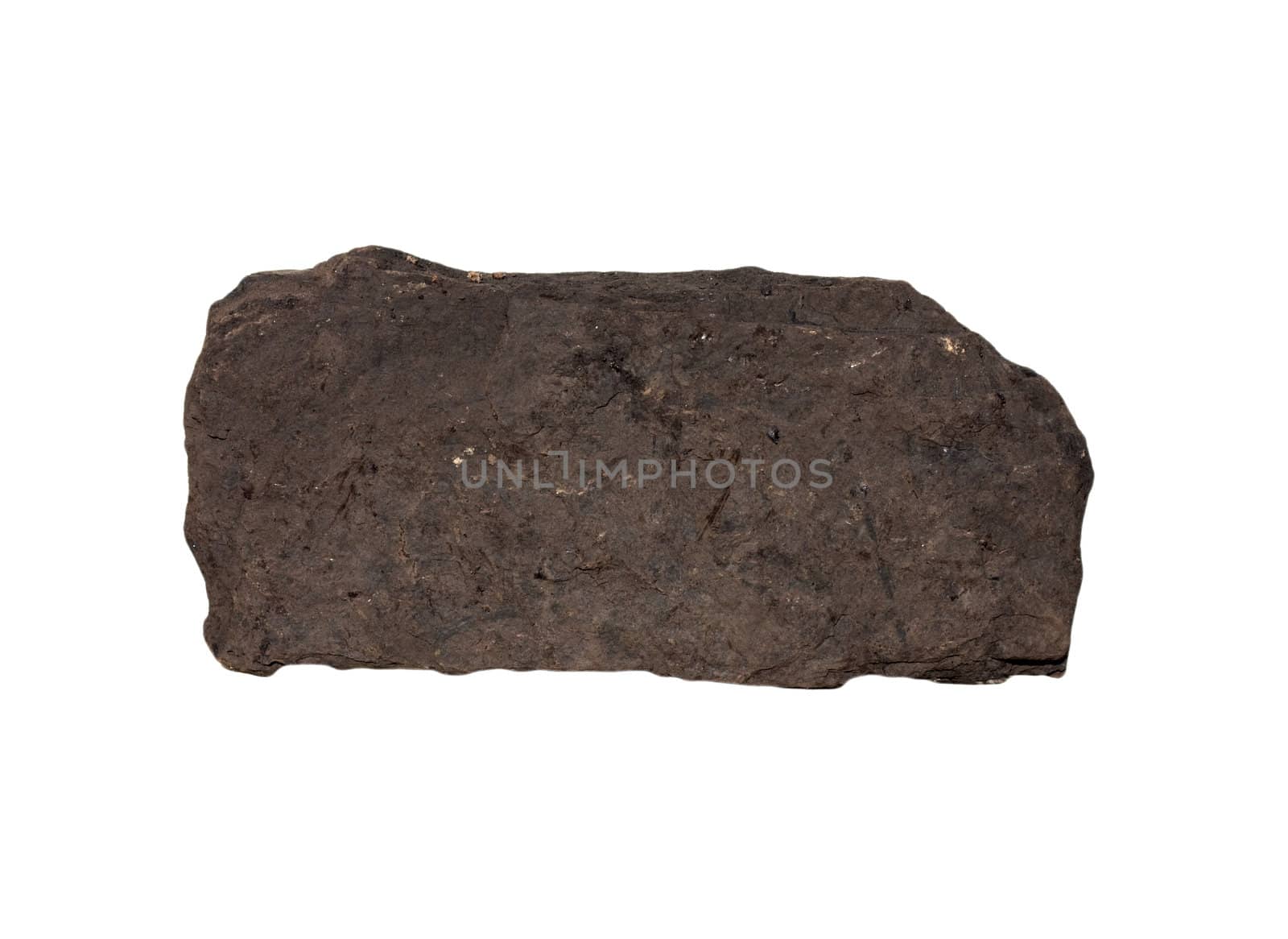 Coal on Isolated White Background 