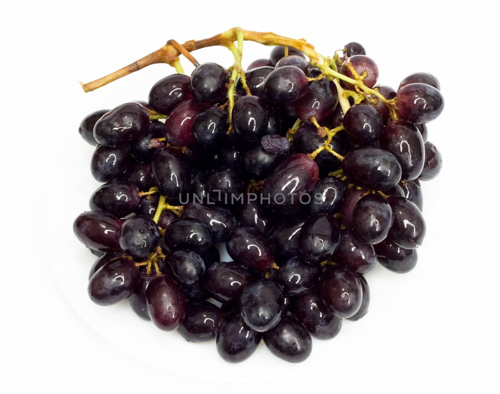 Bunch of black grapes isolated on white background 