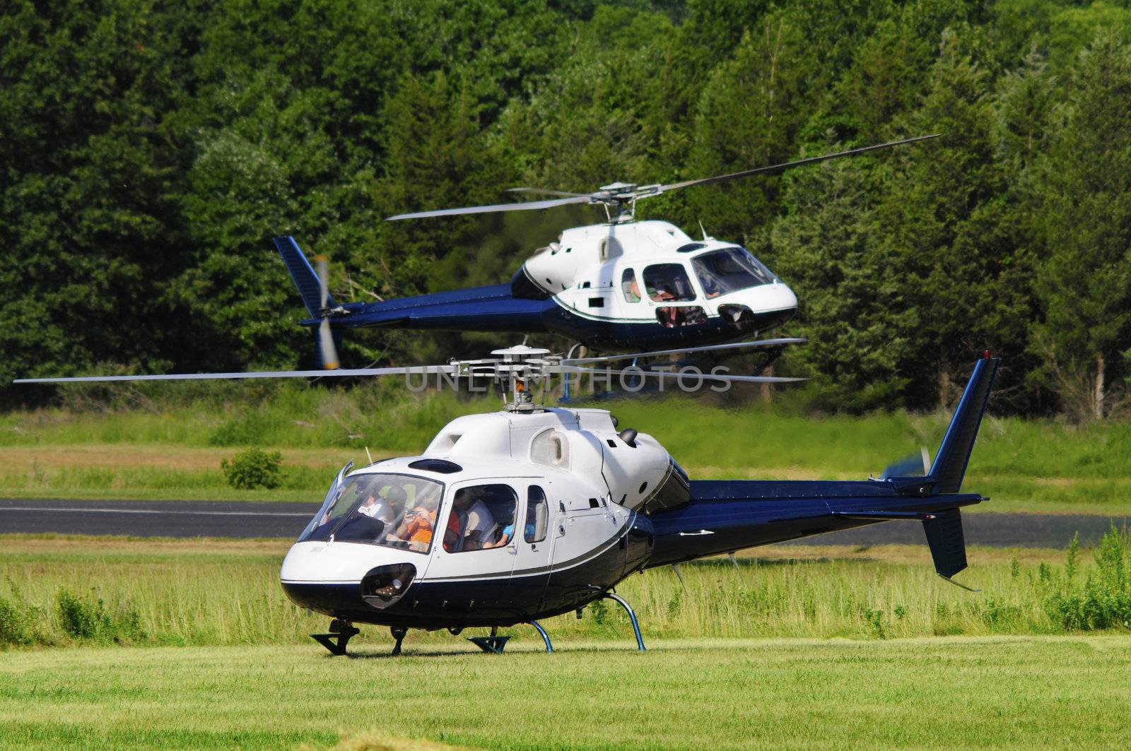 Two blue and white helicopters landing in a grass field