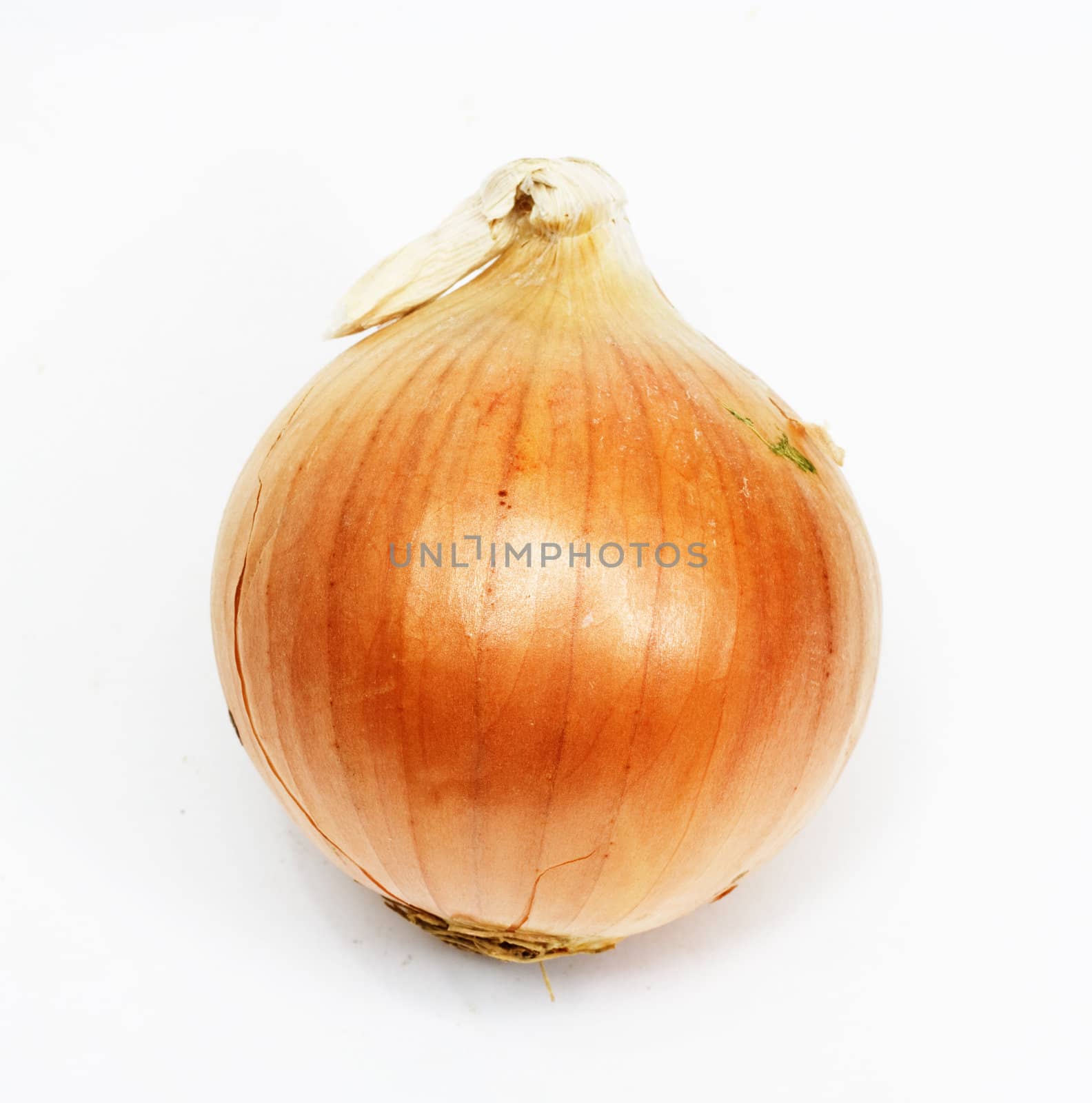 Single a orange fresh onion. Isolated on white background