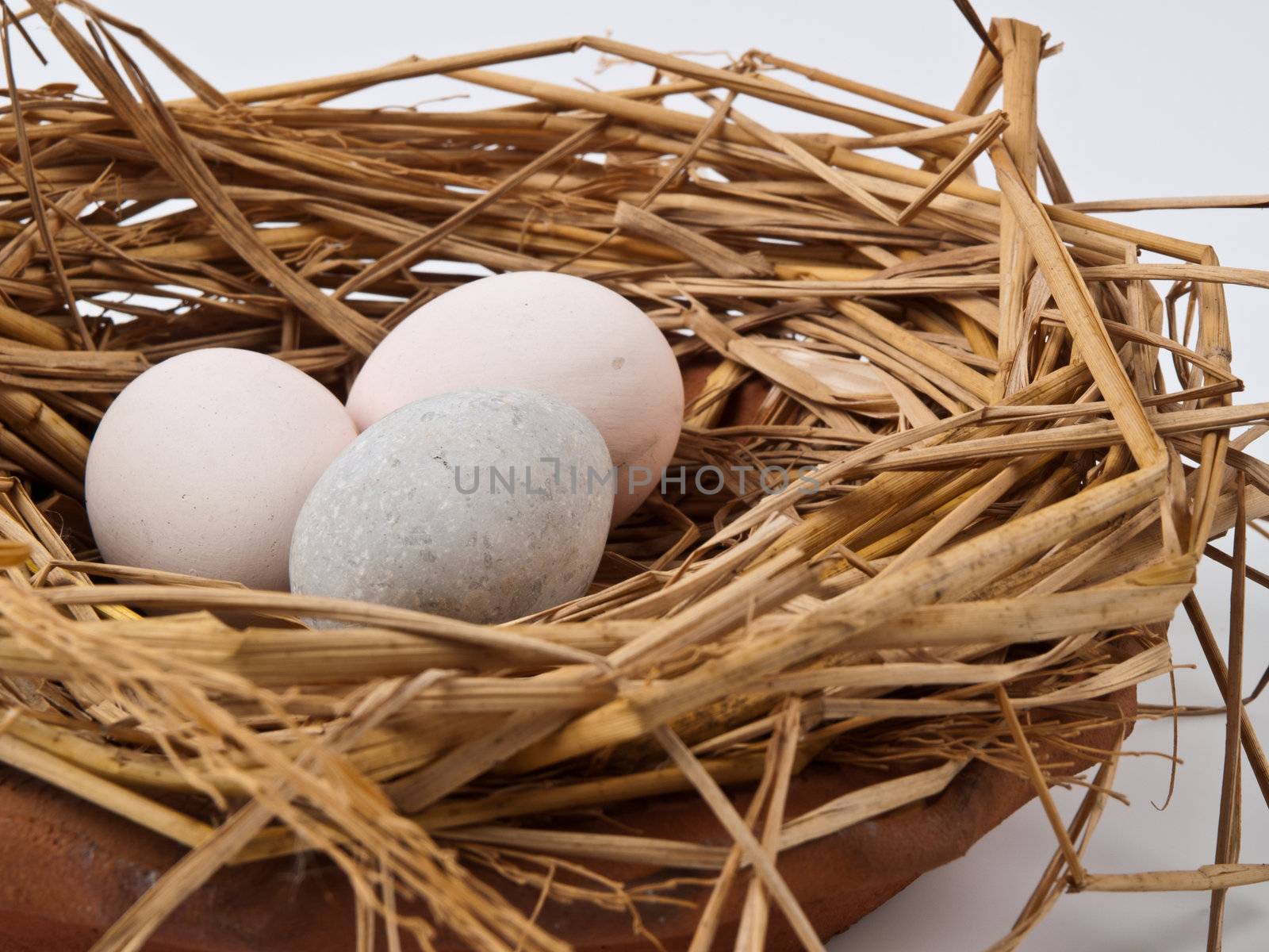 eggs in a nest isolated on a white background