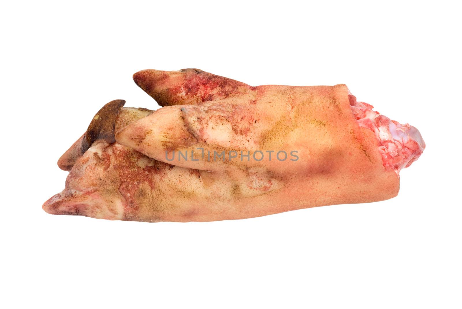 pork leg on white background 