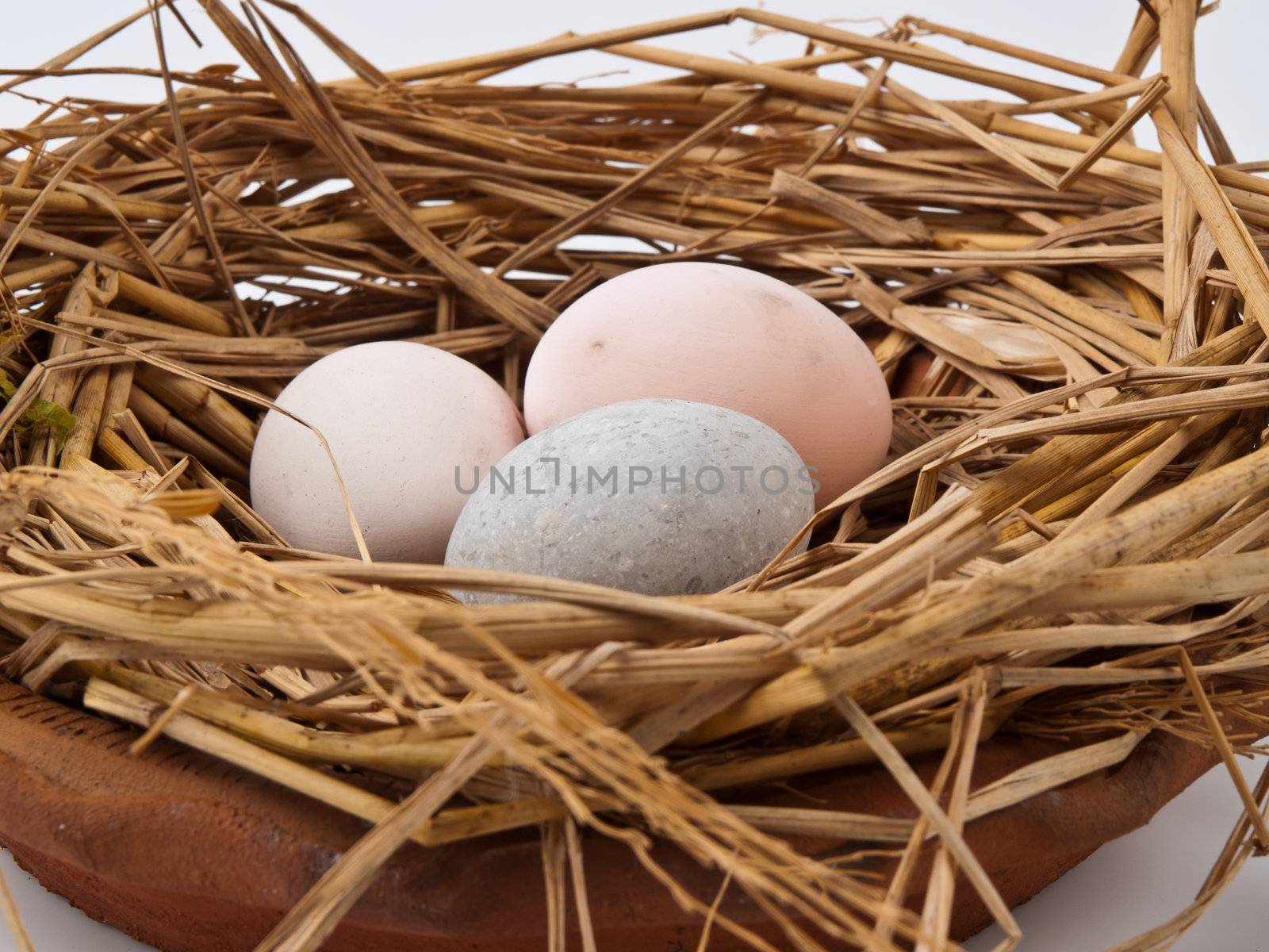 eggs in a nest isolated on a white background