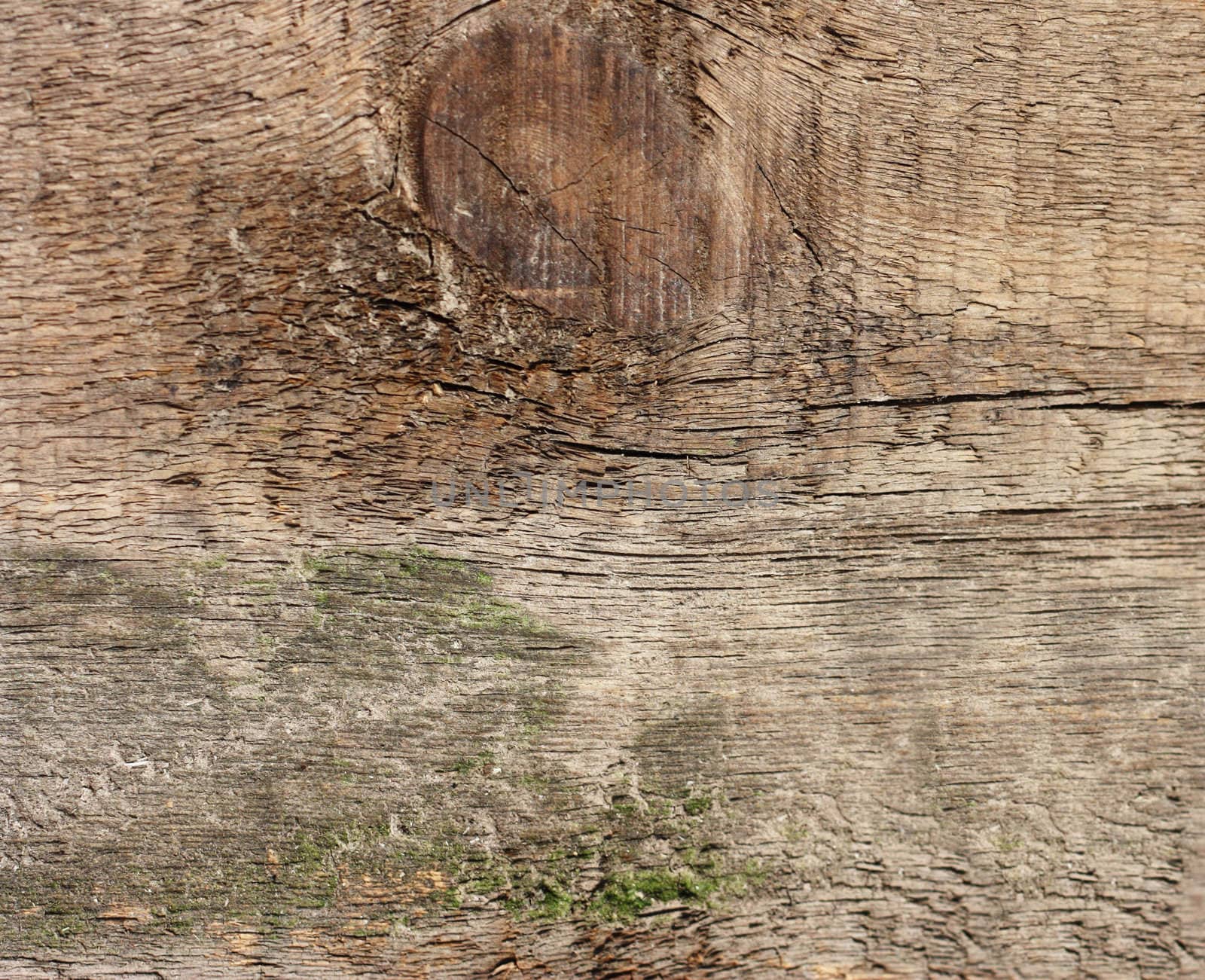Wooden texture - can be used as a background  by schankz