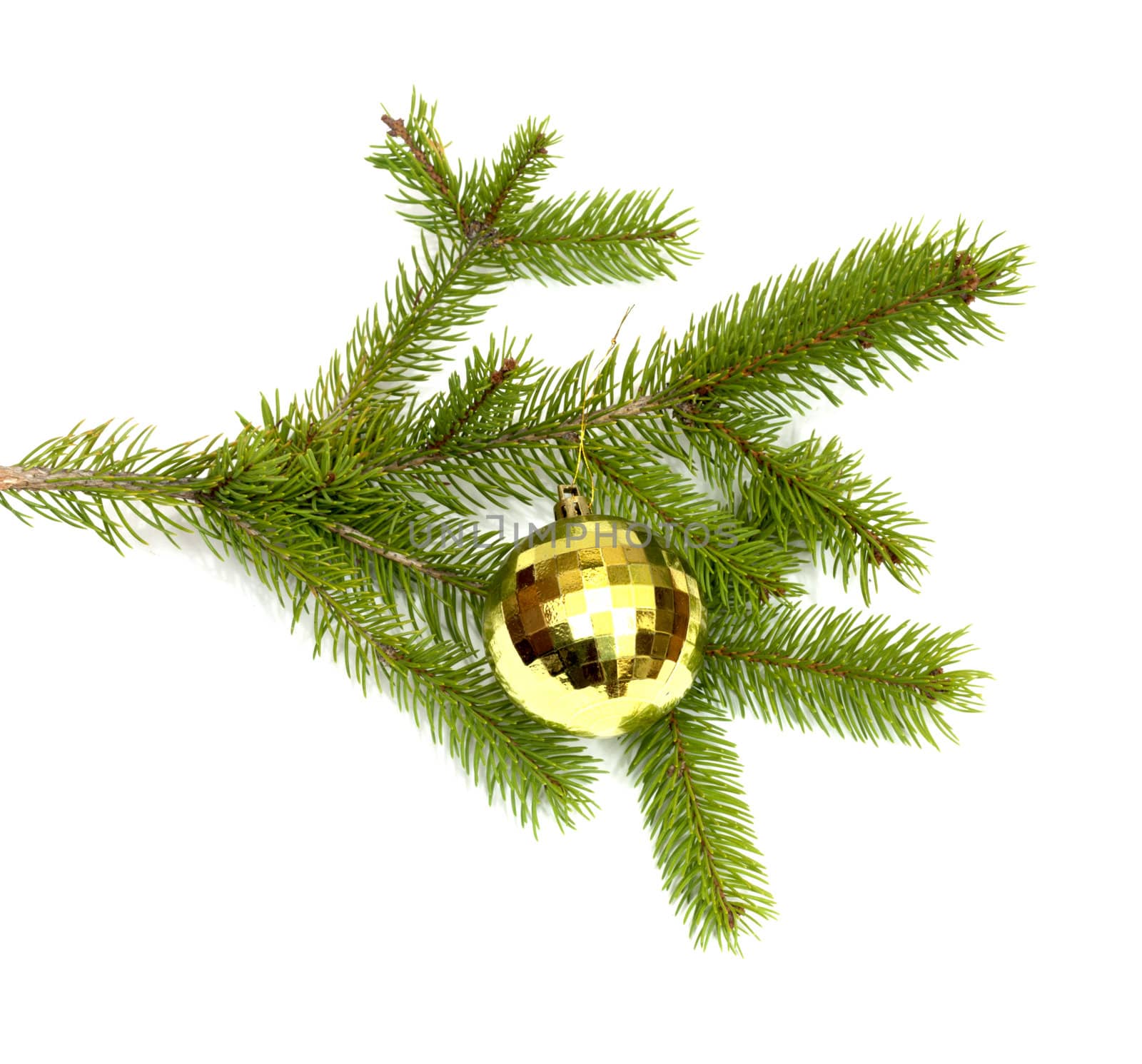 xmas tree ball hanging on a Christmas tree branch, isolated 
