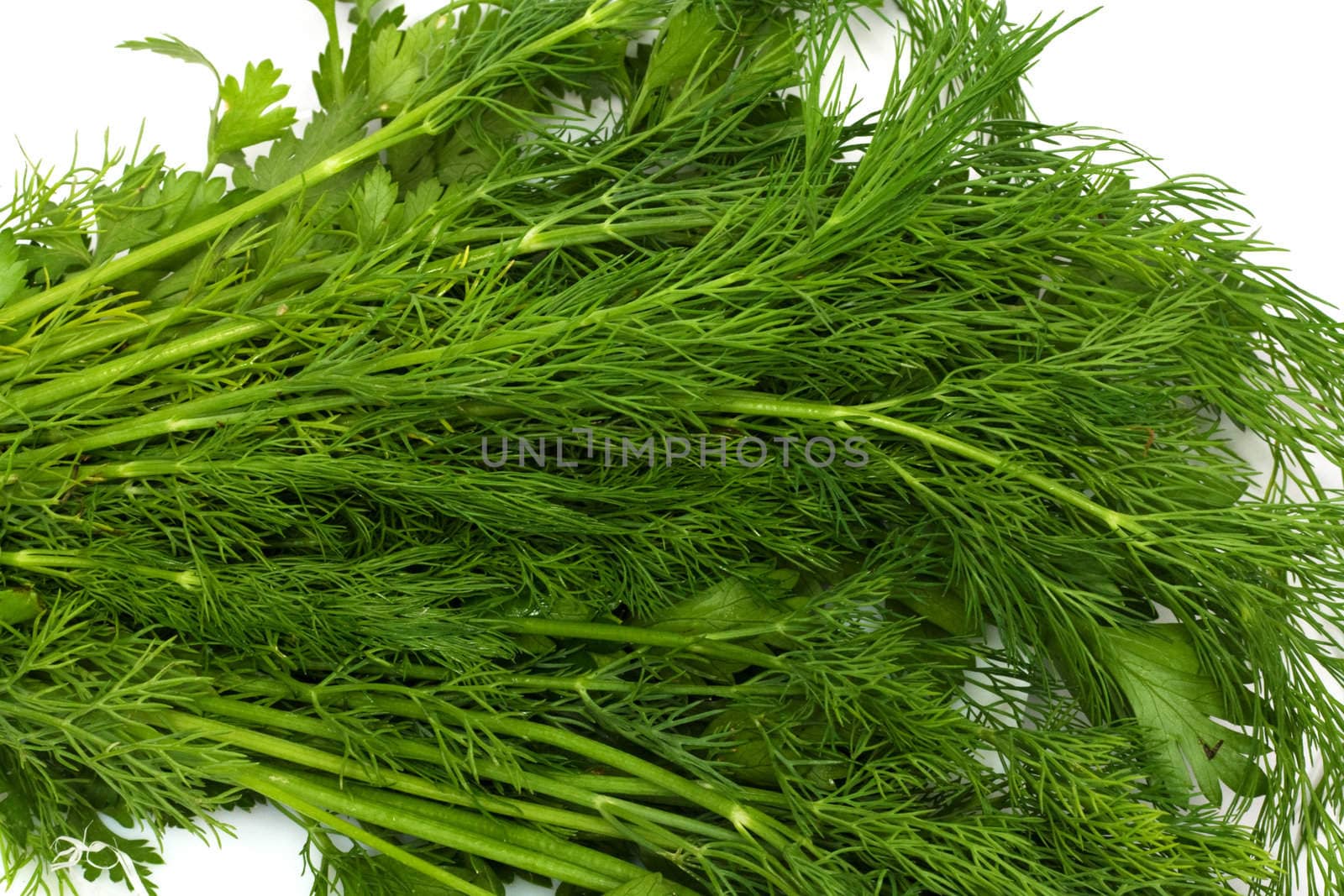 dill and parsley