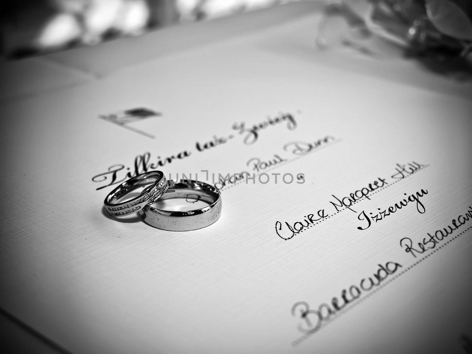 A pair of platinum wedding bands lying on Malta civil wedding certificate