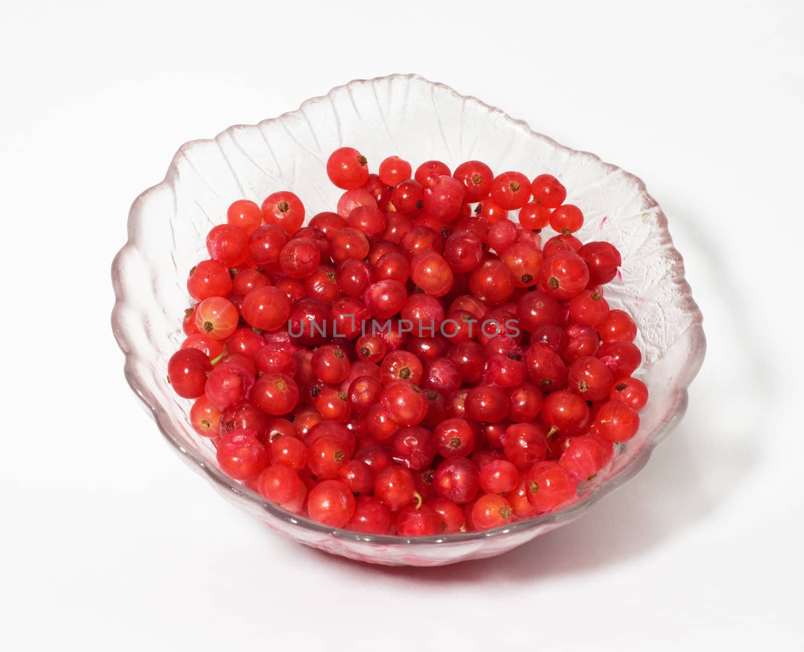 Red currant 