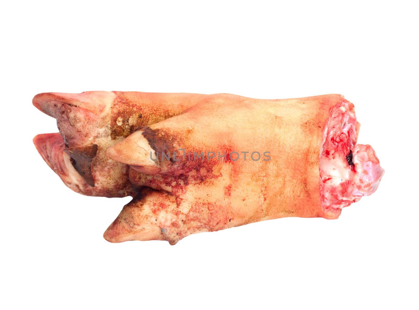 pork leg on white background 