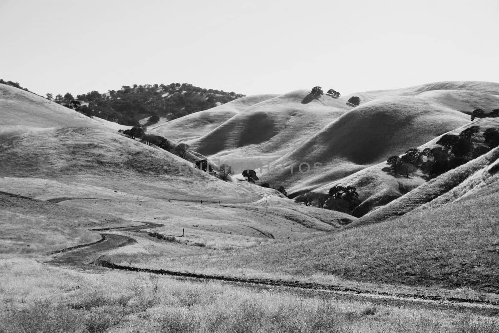 Windy Road Through Hills by MichaelFelix