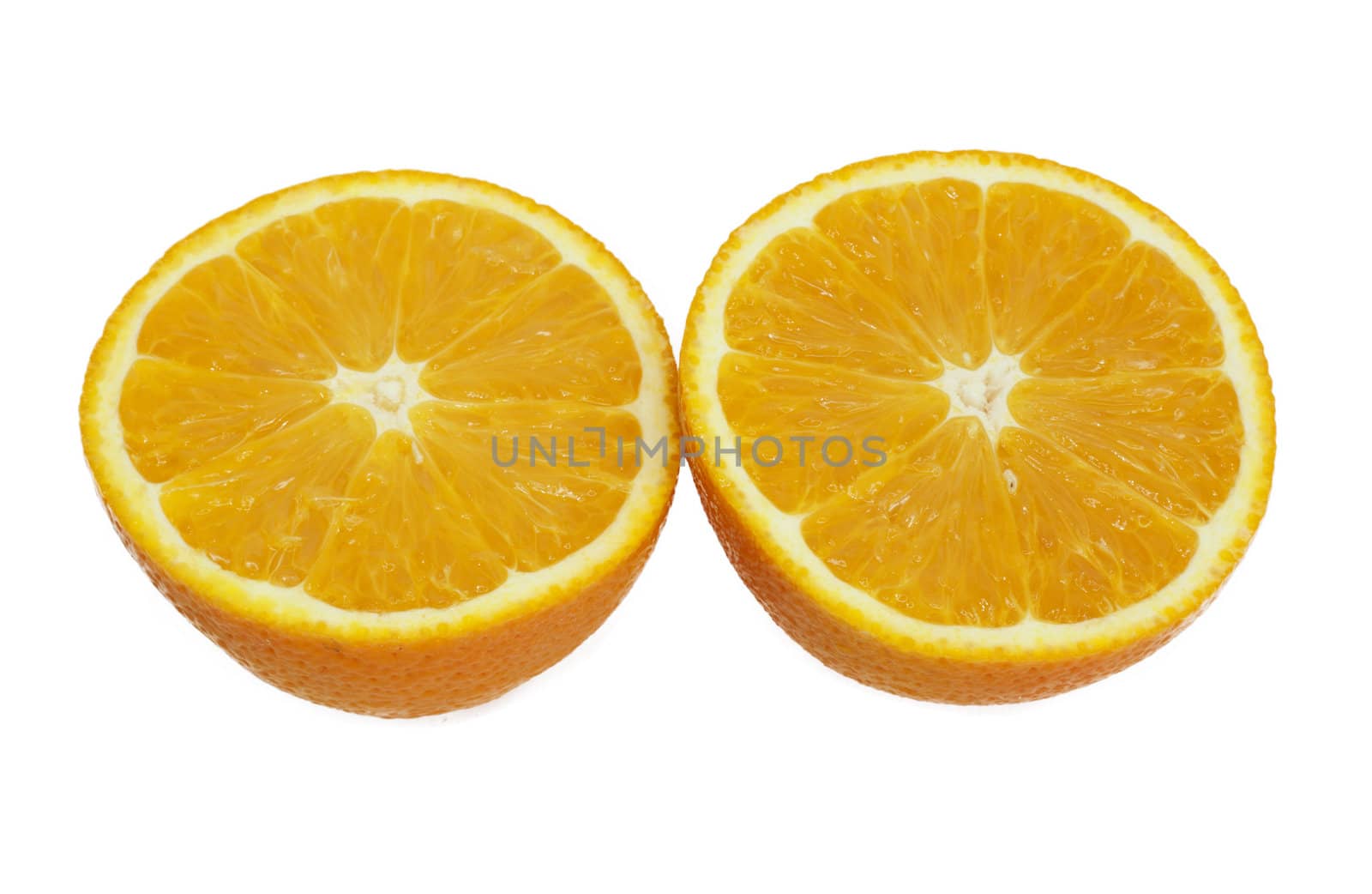 oranges on white background 