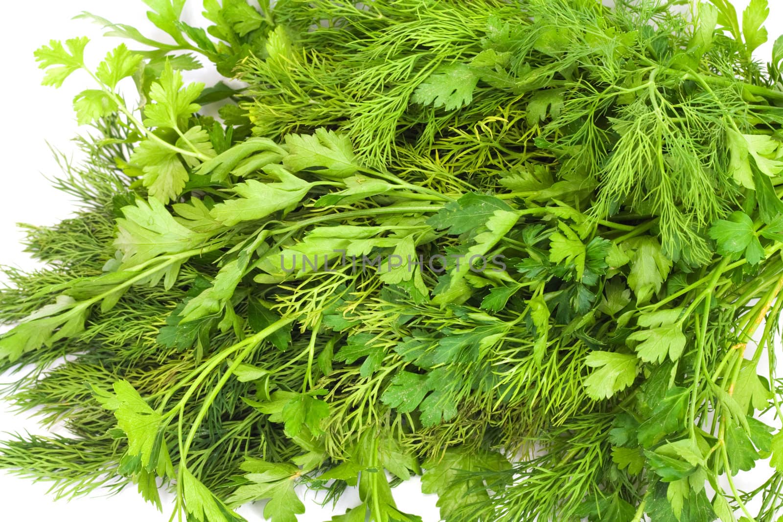 dill and parsley 