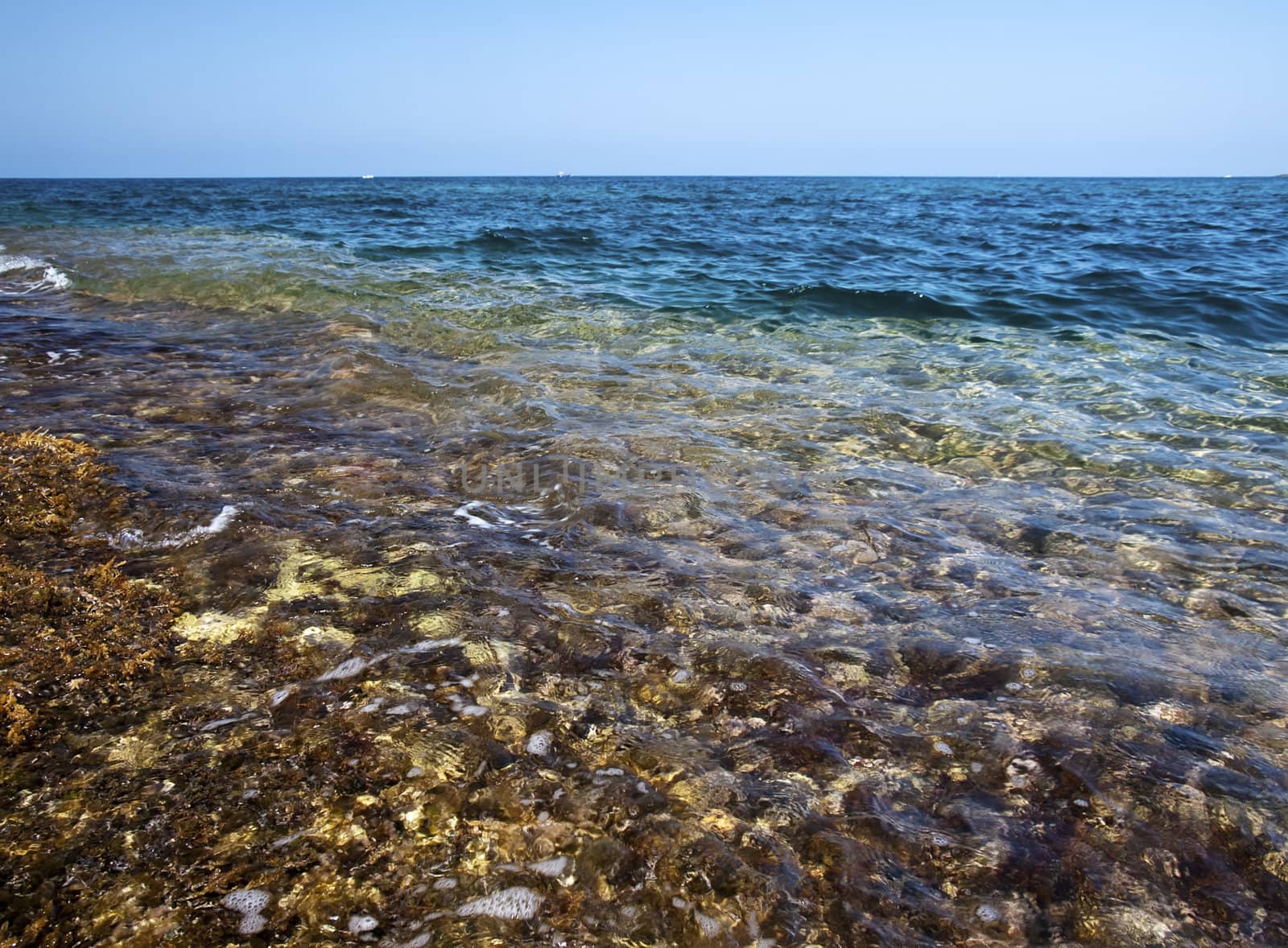 Detail of a rocky reef in Malta with beautiful crystal clear ocean water