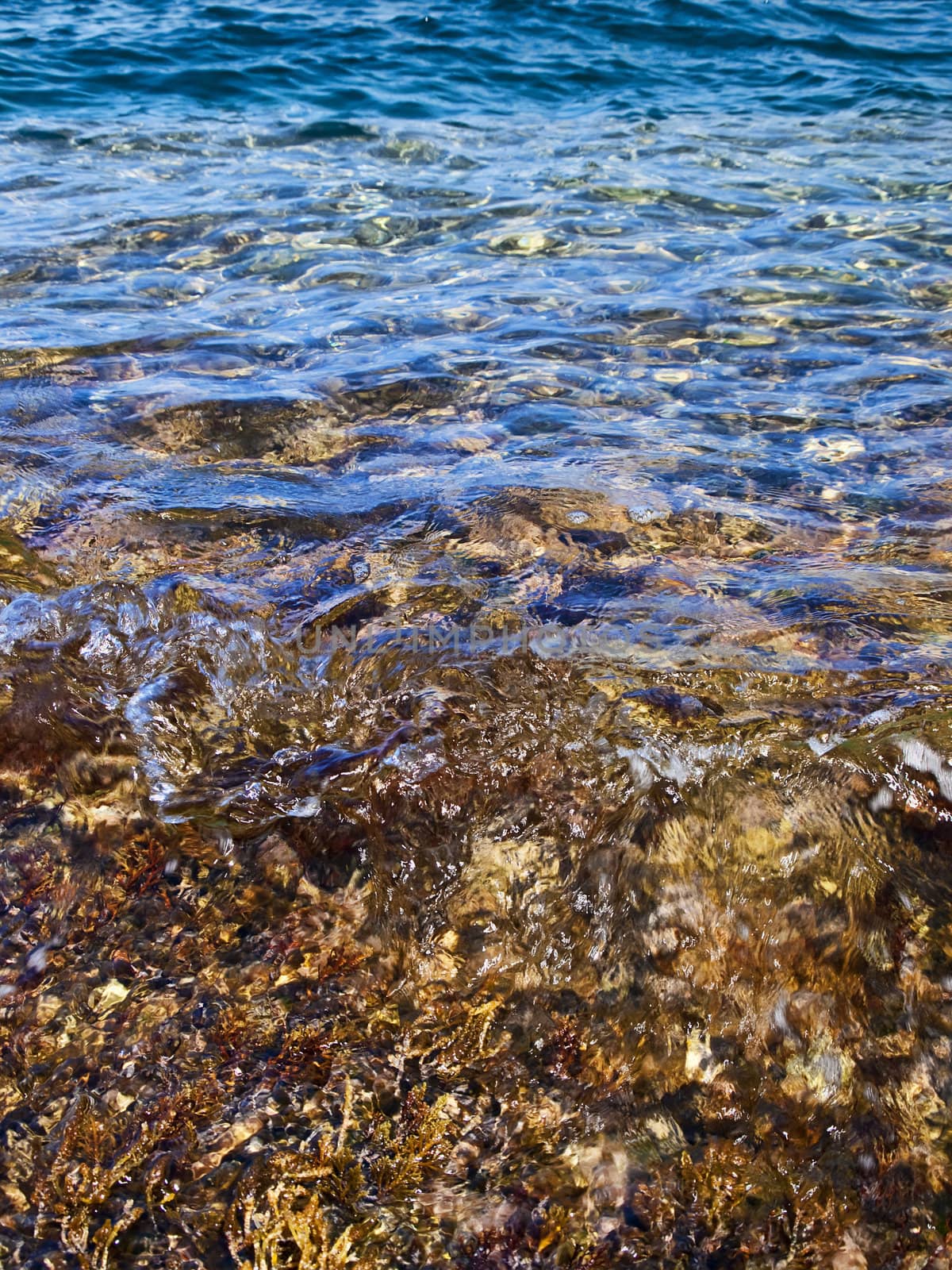 Detail of a rocky reef in Malta with beautiful crystal clear ocean water